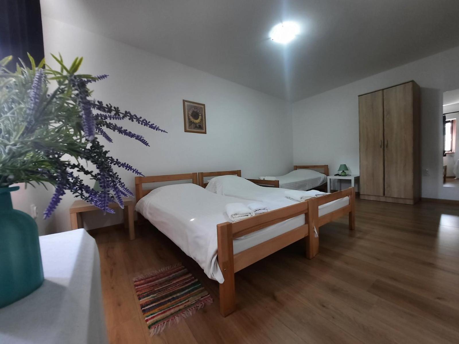 Apartmani Sunflower Sremski Karlovci Zewnętrze zdjęcie