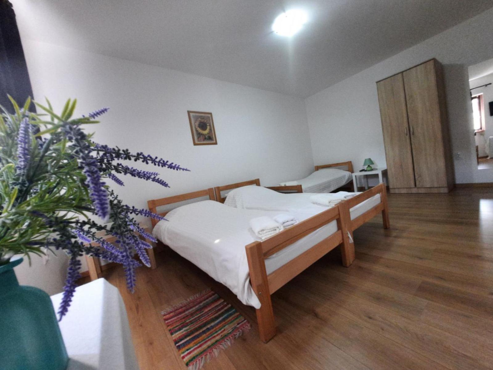 Apartmani Sunflower Sremski Karlovci Pokój zdjęcie
