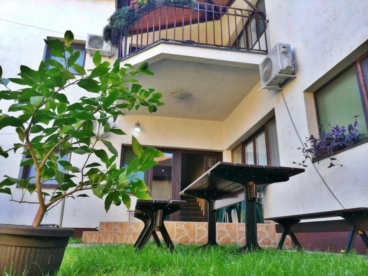 Apartmani Sunflower Sremski Karlovci Zewnętrze zdjęcie